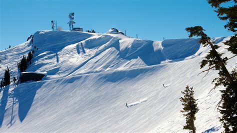 Meadows ski resort - September 15, 2021 | Ryan Belmore. Squaw Valley Ski Resort and Alpine Meadows were both renamed Palisades Tahoe earlier this week. According to a press release from the resort, the new name and logo “honor the resort’s history as a land of legends—home to freeskiing pioneers, Winter Olympians, and cultural icons across more than seven ...